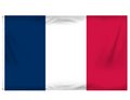 FIFA World Cup France Soccer Fan Flag 3'x5'